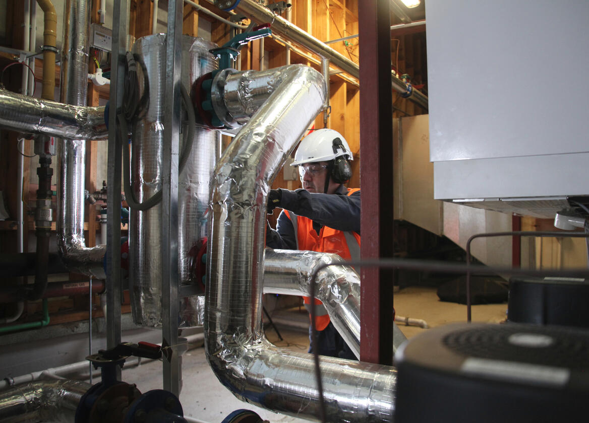 Auckland Univerisity